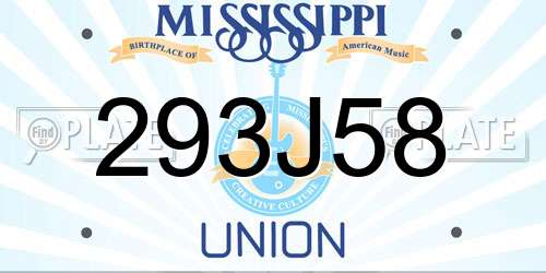293J58 Mississippi License Plate