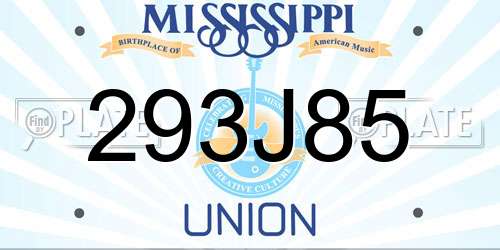 293J85 Mississippi License Plate