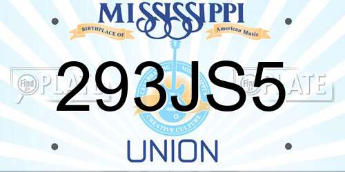 293JS5 Mississippi License Plate