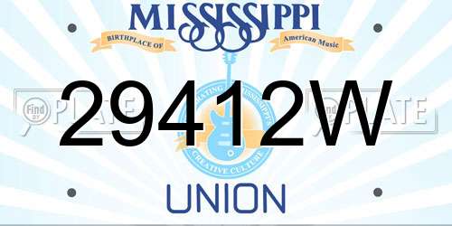 29412W Mississippi License Plate