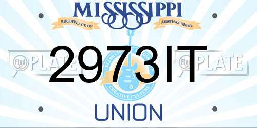2973IT Mississippi License Plate