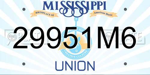 29951M6 Mississippi License Plate