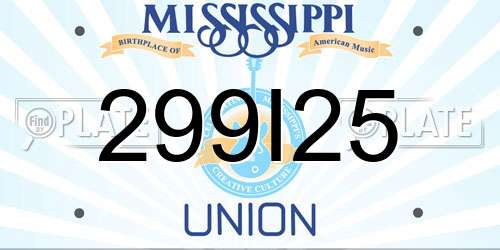 299I25 Mississippi License Plate