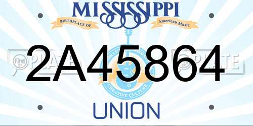 2A45864 Mississippi License Plate