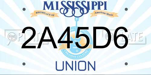 2A45D6 Mississippi License Plate
