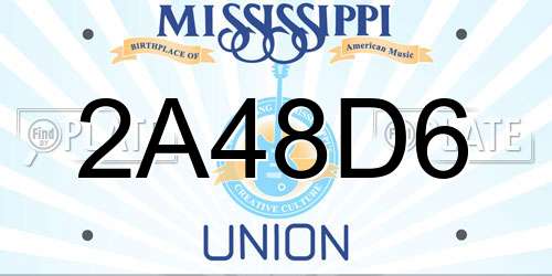 2A48D6 Mississippi License Plate