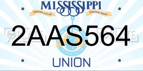 2AAS564 Mississippi License Plate