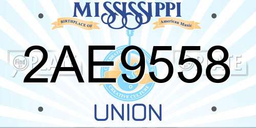2AE9558 Mississippi License Plate