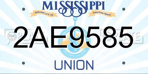 2AE9585 Mississippi License Plate