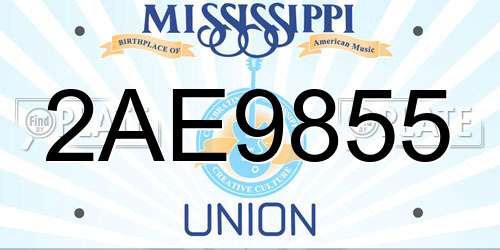 2AE9855 Mississippi License Plate