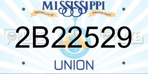 2B22529 Mississippi License Plate
