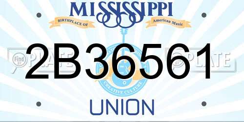 2B36561 Mississippi License Plate