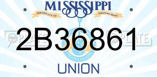 2B36861 Mississippi License Plate