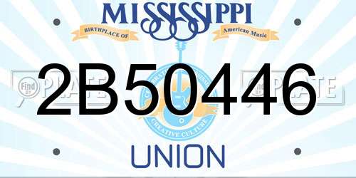 2B50446 Mississippi License Plate