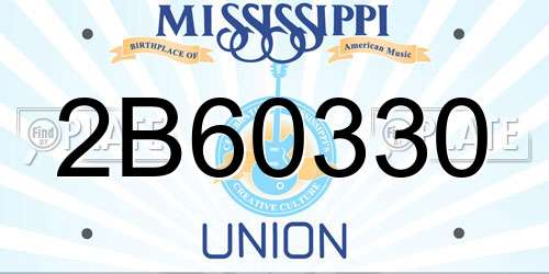 2B60330 Mississippi License Plate
