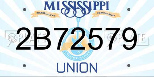 2B72579 Mississippi License Plate