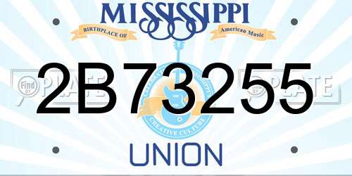 2B73255 Mississippi License Plate