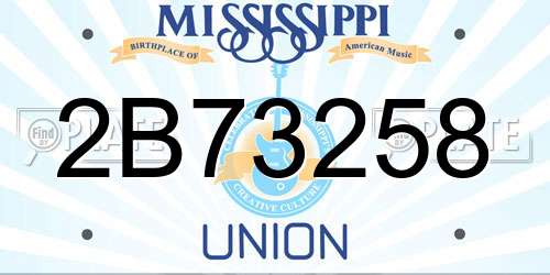 2B73258 Mississippi License Plate