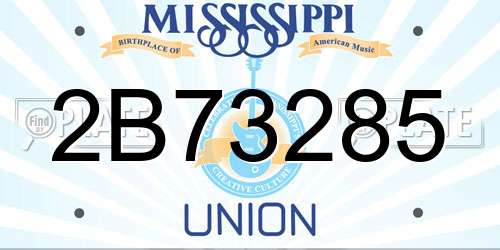 2B73285 Mississippi License Plate