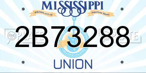 2B73288 Mississippi License Plate