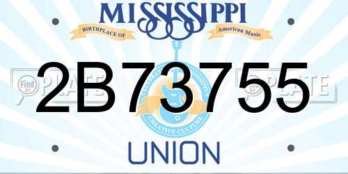 2B73755 Mississippi License Plate