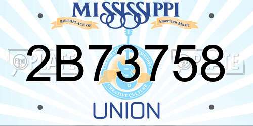 2B73758 Mississippi License Plate