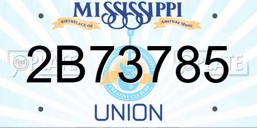 2B73785 Mississippi License Plate