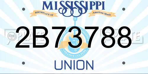 2B73788 Mississippi License Plate