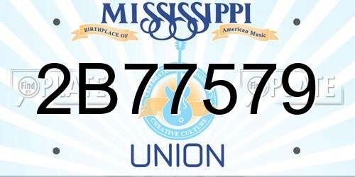 2B77579 Mississippi License Plate