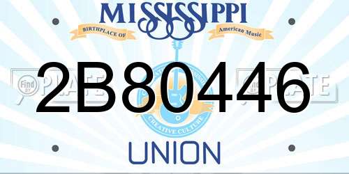 2B80446 Mississippi License Plate