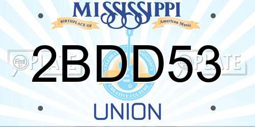 2BDD53 Mississippi License Plate