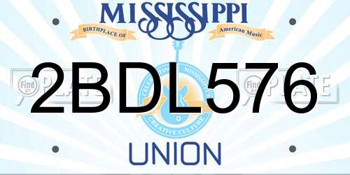 2BDL576 Mississippi License Plate