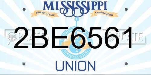 2BE6561 Mississippi License Plate