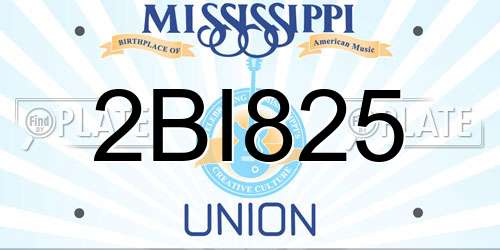 2BI825 Mississippi License Plate