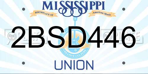 2BSD446 Mississippi License Plate
