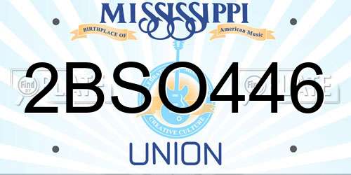2BSO446 Mississippi License Plate