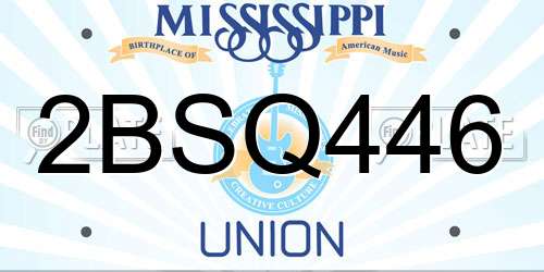 2BSQ446 Mississippi License Plate