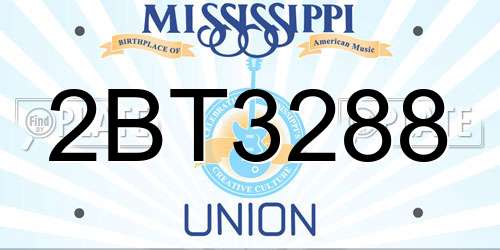 2BT3288 Mississippi License Plate