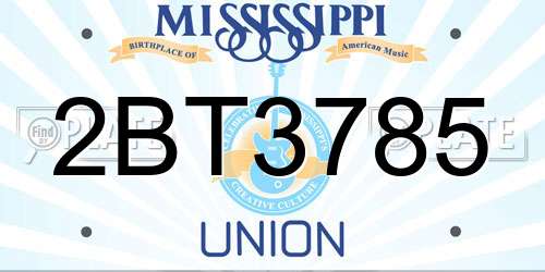 2BT3785 Mississippi License Plate