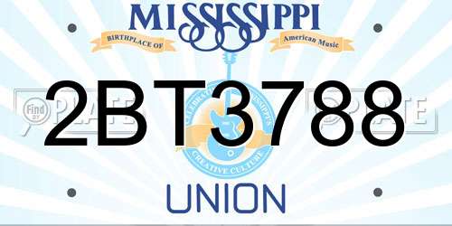 2BT3788 Mississippi License Plate