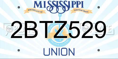 2BTZ529 Mississippi License Plate