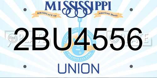 2BU4556 Mississippi License Plate