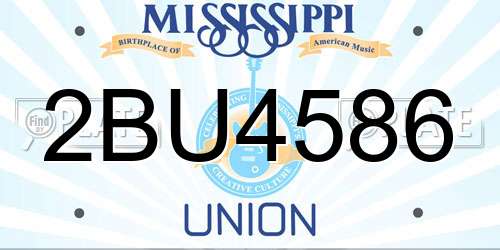 2BU4586 Mississippi License Plate