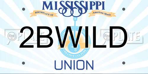 2BWILD Mississippi License Plate