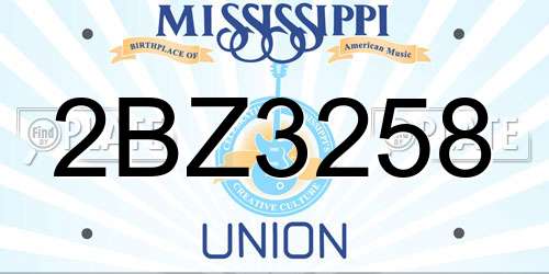 2BZ3258 Mississippi License Plate