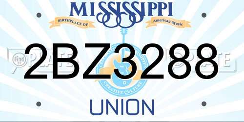 2BZ3288 Mississippi License Plate