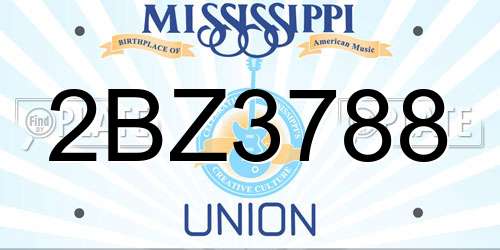2BZ3788 Mississippi License Plate