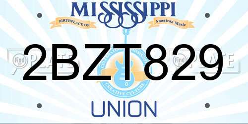 2BZT829 Mississippi License Plate