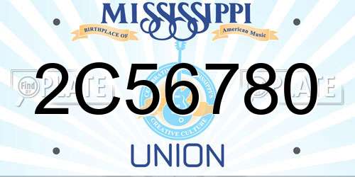 2C56780 Mississippi License Plate