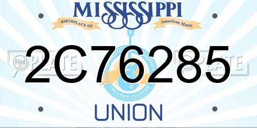 2C76285 Mississippi License Plate